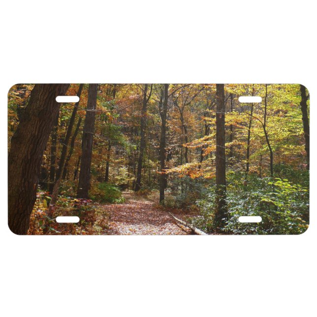 Sunlit Fall Trail in Laurel Hill State Park License Plate (Front)