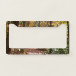 Sunlit Fall Trail in Laurel Hill State Park License Plate Frame