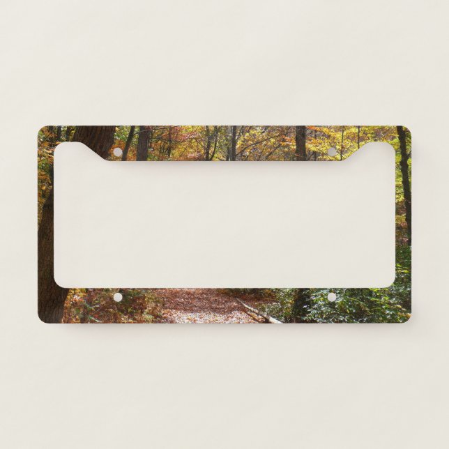 Sunlit Fall Trail in Laurel Hill State Park License Plate Frame (Front)