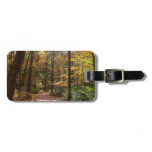 Sunlit Fall Trail in Laurel Hill State Park Luggage Tag