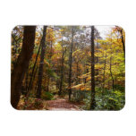 Sunlit Fall Trail in Laurel Hill State Park Magnet