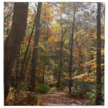 Sunlit Fall Trail in Laurel Hill State Park Napkin