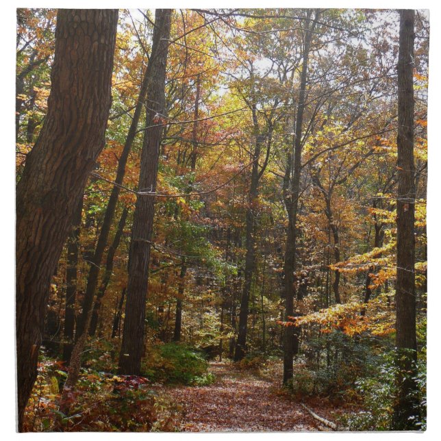 Sunlit Fall Trail in Laurel Hill State Park Napkin (Front)