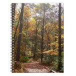 Sunlit Fall Trail in Laurel Hill State Park Notebook