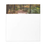 Sunlit Fall Trail in Laurel Hill State Park Notepad