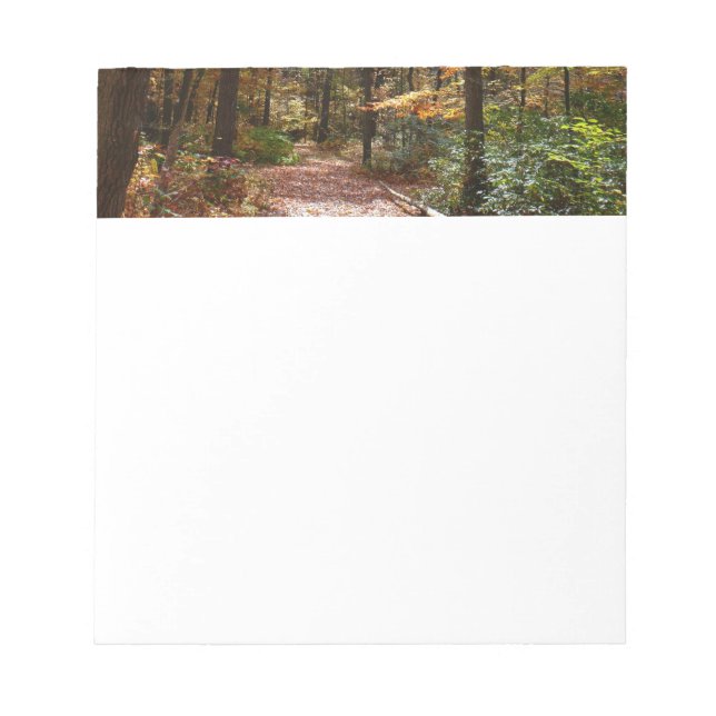 Sunlit Fall Trail in Laurel Hill State Park Notepad (Front)