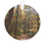 Sunlit Fall Trail in Laurel Hill State Park Ornament