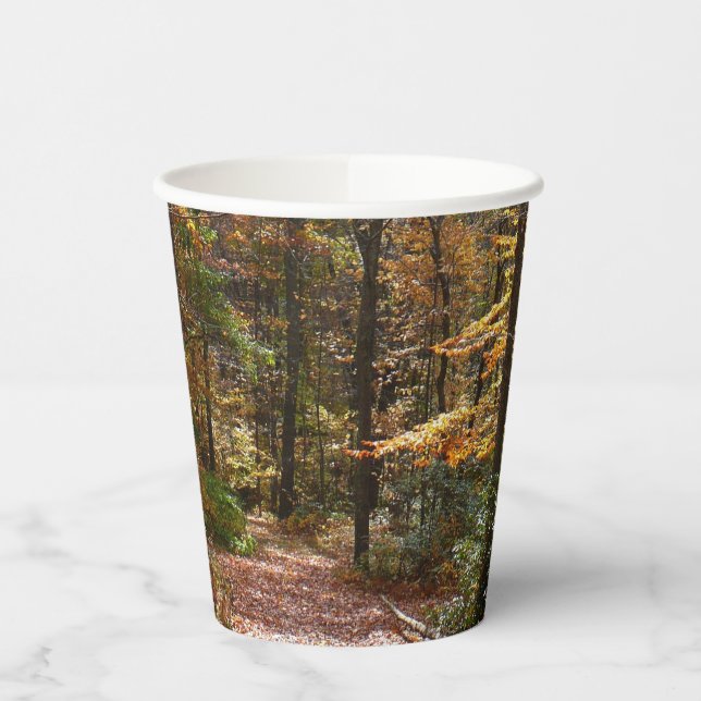 Sunlit Fall Trail in Laurel Hill State Park Paper Cups (Left)