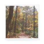 Sunlit Fall Trail in Laurel Hill State Park Paper Napkins