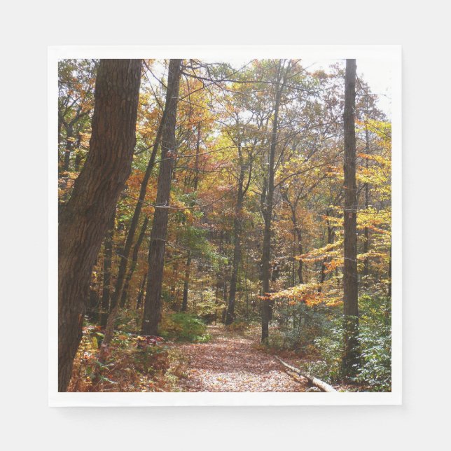 Sunlit Fall Trail in Laurel Hill State Park Paper Napkins (Front)