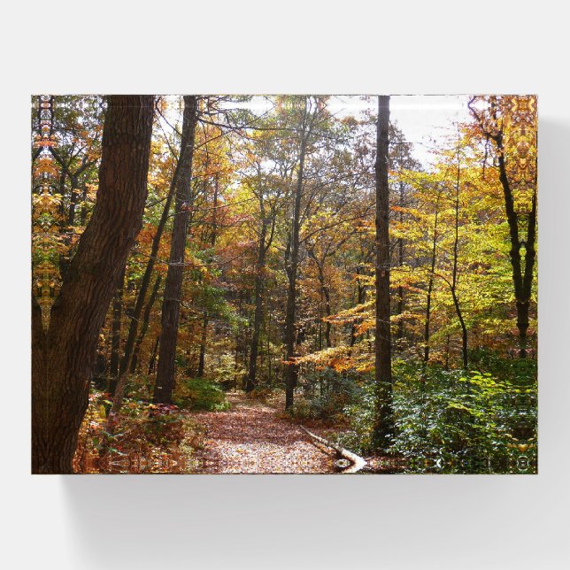 Sunlit Fall Trail in Laurel Hill State Park Paperweight (Front)