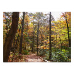 Sunlit Fall Trail in Laurel Hill State Park Photo Print