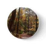 Sunlit Fall Trail in Laurel Hill State Park Pinback Button