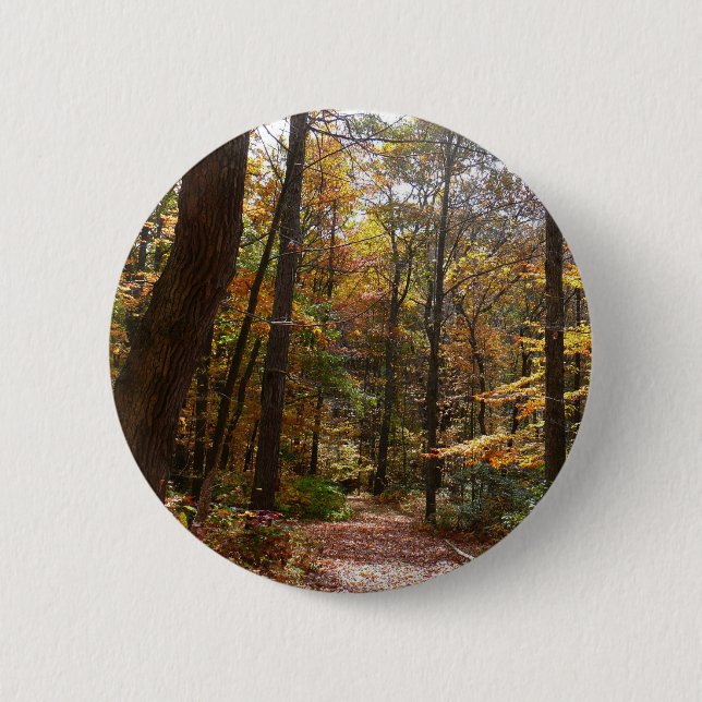 Sunlit Fall Trail in Laurel Hill State Park Pinback Button (Front)