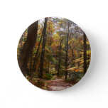 Sunlit Fall Trail in Laurel Hill State Park Pinback Button