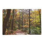 Sunlit Fall Trail in Laurel Hill State Park Placemat