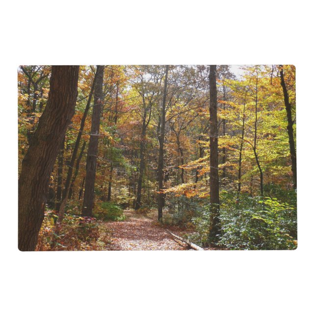 Sunlit Fall Trail in Laurel Hill State Park Placemat (Front)