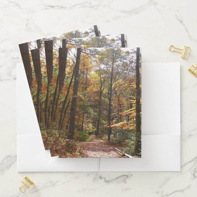 Sunlit Fall Trail in Laurel Hill State Park Pocket Folder (In Situ)