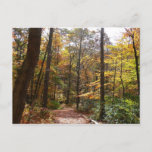 Sunlit Fall Trail in Laurel Hill State Park Postcard