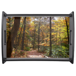Sunlit Fall Trail in Laurel Hill State Park Serving Tray