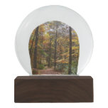 Sunlit Fall Trail in Laurel Hill State Park Snow Globe