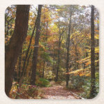 Sunlit Fall Trail in Laurel Hill State Park Square Paper Coaster