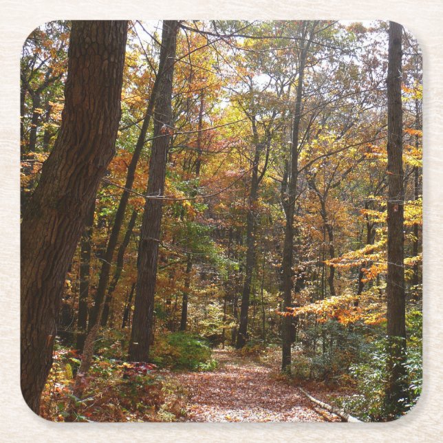 Sunlit Fall Trail in Laurel Hill State Park Square Paper Coaster (Front)