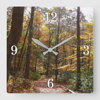 Sunlit Fall Trail in Laurel Hill State Park Square Wall Clock
