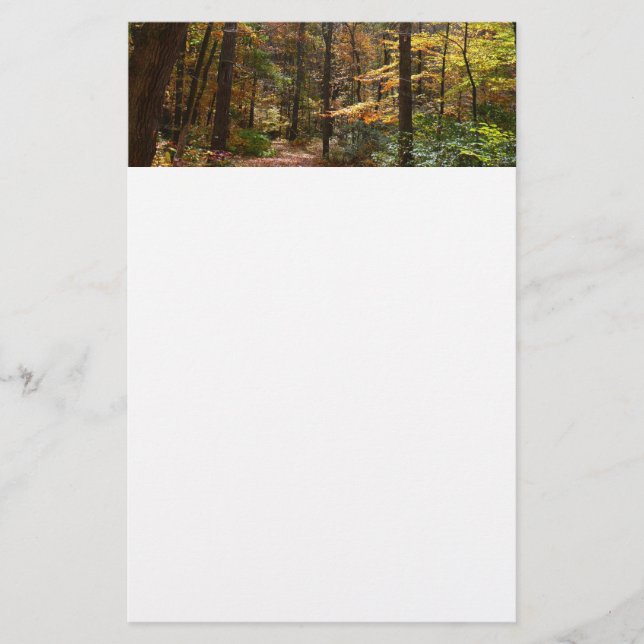 Sunlit Fall Trail in Laurel Hill State Park Stationery (Front)