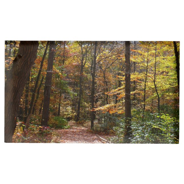 Sunlit Fall Trail in Laurel Hill State Park Table Number Holder (Front)
