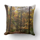 Sunlit Fall Trail in Laurel Hill State Park Throw Pillow