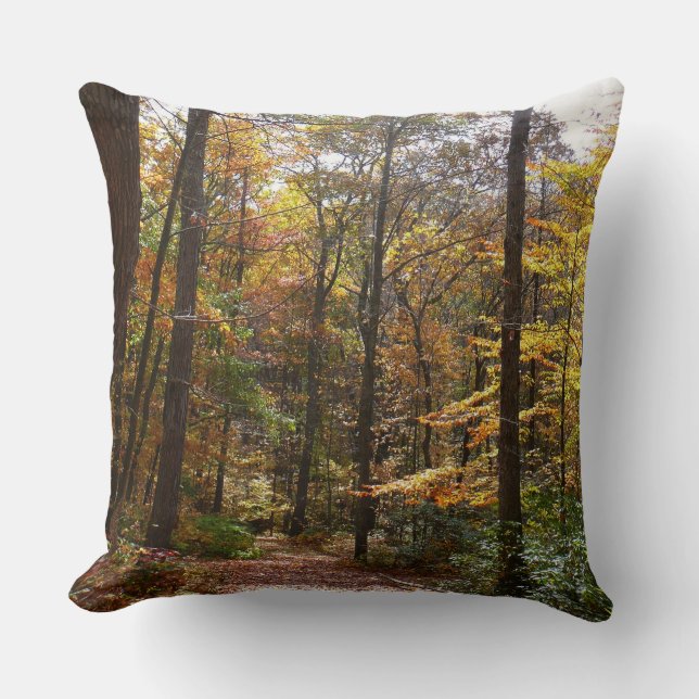 Sunlit Fall Trail in Laurel Hill State Park Throw Pillow (Front)