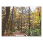 Sunlit Fall Trail in Laurel Hill State Park Tissue Paper