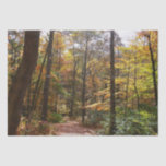 Sunlit Fall Trail in Laurel Hill State Park Tissue Paper