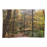Sunlit Fall Trail in Laurel Hill State Park Towel