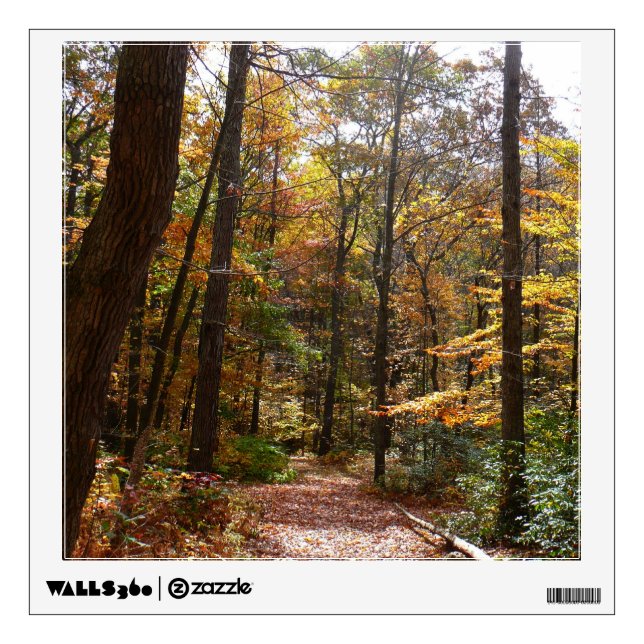 Sunlit Fall Trail in Laurel Hill State Park Wall Decal (Front)
