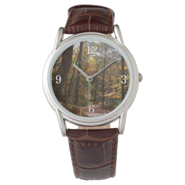 Sunlit Fall Trail in Laurel Hill State Park Watch (Front)