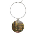 Sunlit Fall Trail in Laurel Hill State Park Wine Glass Charm