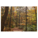 Sunlit Fall Trail in Laurel Hill State Park Wood Poster