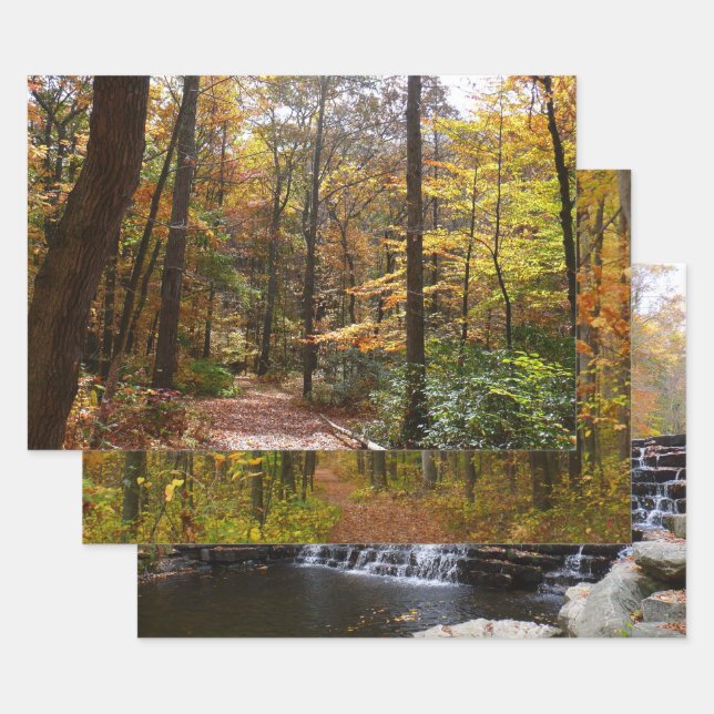 Sunlit Fall Trail in Laurel Hill State Park Wrapping Paper Sheets (Set)