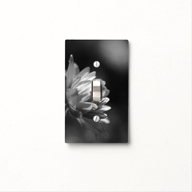 Sunlit Flower in Black And White Light Switch Cover (In Situ)