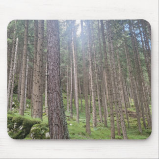 Sunlit Forest - Green Woodland Photography Mousepa Mouse Pad