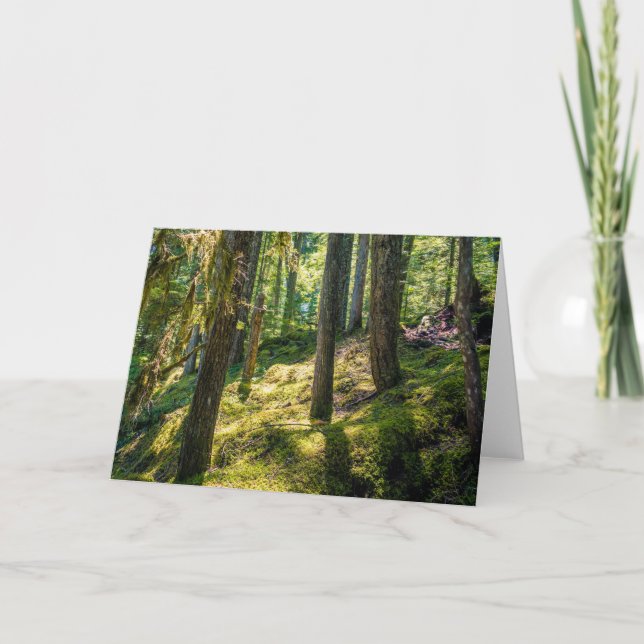 Sunlit Forest Greeting Card (Blank) (Front)