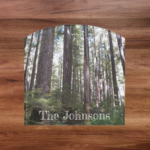 Sunlit Forest Landscape Family Name Door Sign