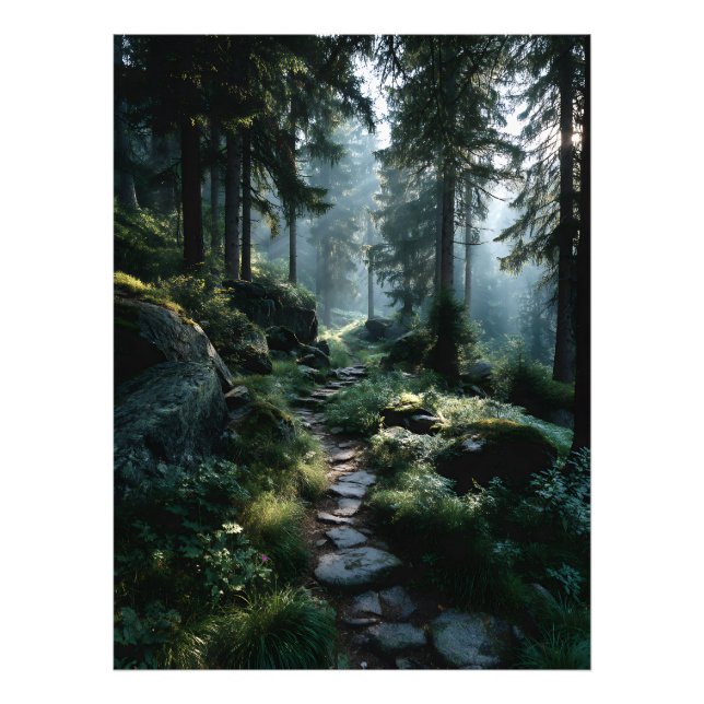 Sunlit Forest Path Through Ancient Pines Photo Print (Front)