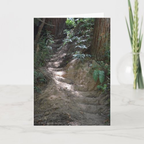 Sunlit Forest Steps blank card