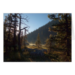 Sunlit Frosted Pine Trees at Dream Lake Cards