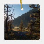 Sunlit Frosted Pine Trees at Dream Lake Ceramic Ornament