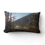 Sunlit Frosted Pine Trees at Dream Lake Lumbar Pillow