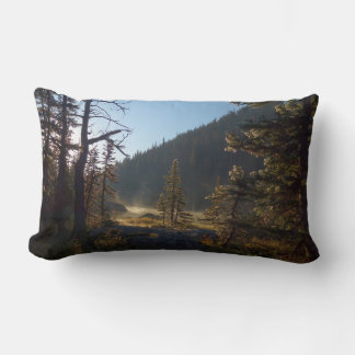 Sunlit Frosted Pine Trees at Dream Lake Lumbar Pillow
